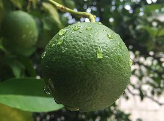 Appartement By The Sea - 15567